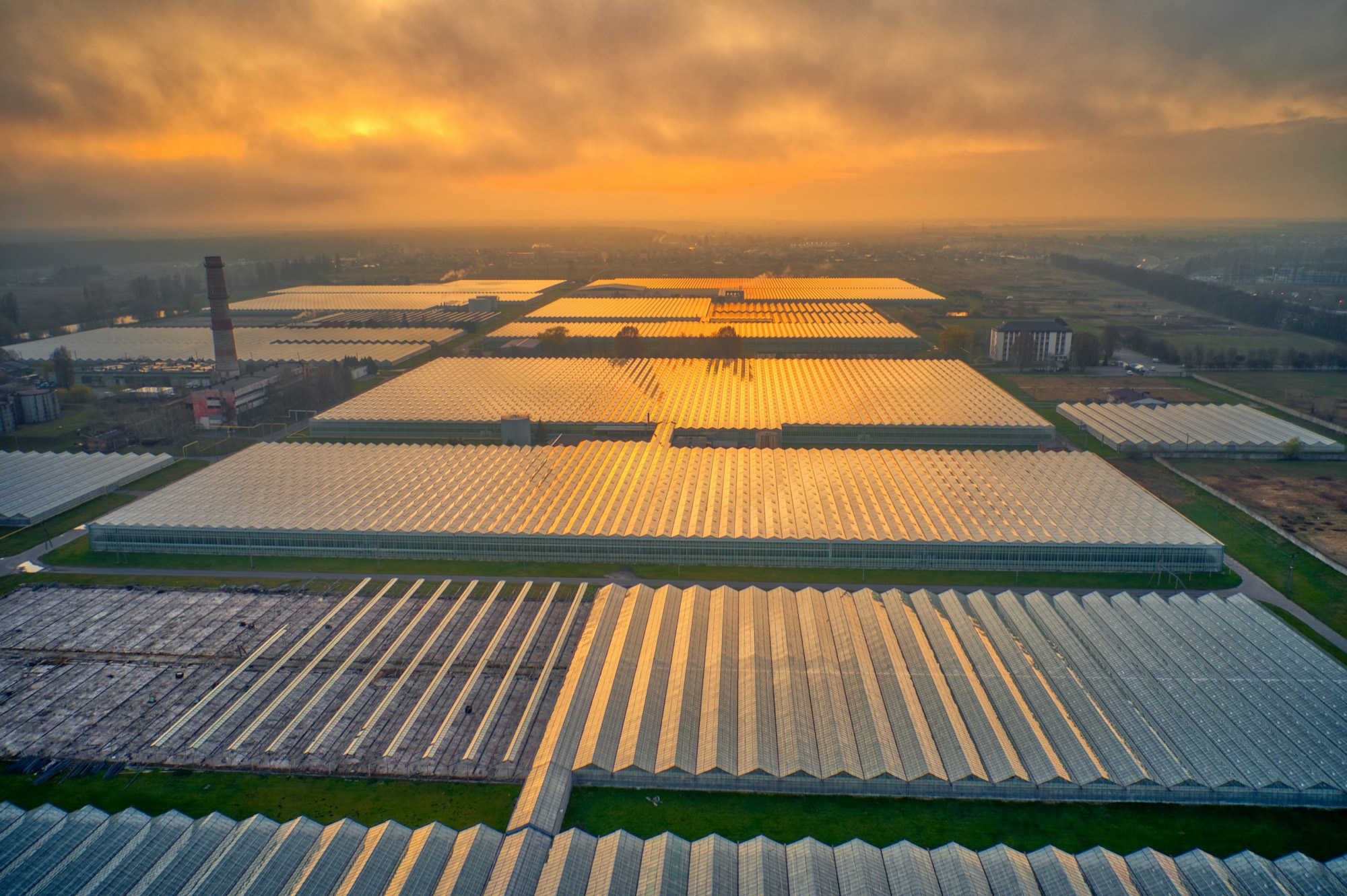Luftfoto af et drivhuskompleks i solnedgang
